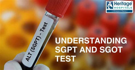 sgot sgpt meaning in tamil|SGPT சோதனை மற்றும் அதன் பயன்கள், .